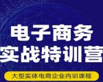 民赛电气内部出品:电子商务实战特训营,全方位带你入门电商,308种方式玩转电商-一起网赚吧