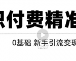玩转知识付费项目精准引流，给你1套课多账号操作落地方案！-一起网赚吧