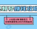 玩转微信视频号赚钱：小白变大咖涨粉百万实现快速变现1000万的现金流-一起网赚吧