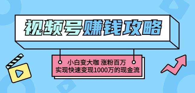 玩转微信视频号赚钱：小白变大咖涨粉百万实现快速变现1000万的现金流-一起网赚吧