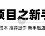虚拟项目快速起店模式，0成本打造月入几万虚拟店铺！-一起网赚吧
