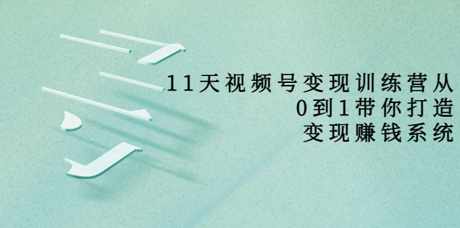11天视频号变现训练营，从0到1打造变现赚钱系统（价值398元）-一起网赚吧