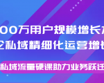 8000万用户规模增长方法论私域精细化运营增长，私域流量硬课助力业务跃迁-一起网赚吧