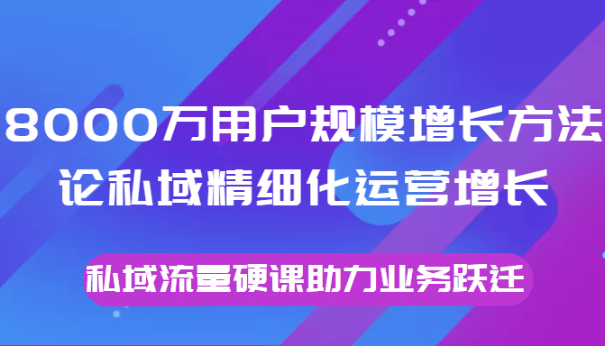 8000万用户规模增长方法论私域精细化运营增长，私域流量硬课助力业务跃迁-一起网赚吧