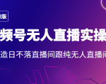 2022年视频号无人直播实操课，打造日不落直播间跟纯无人直播间-一起网赚吧