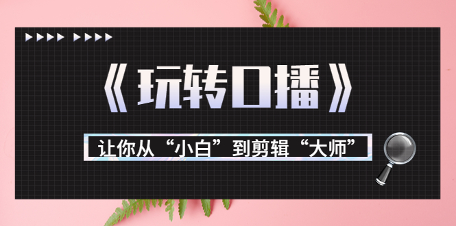 月营业额700万+大佬教您《玩转口播》让你从“小白”到剪辑“大师”-一起网赚吧