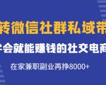 玩转微信社群私域带货，学会就能赚钱的社交电商，在家兼职副业再挣8000+-一起网赚吧
