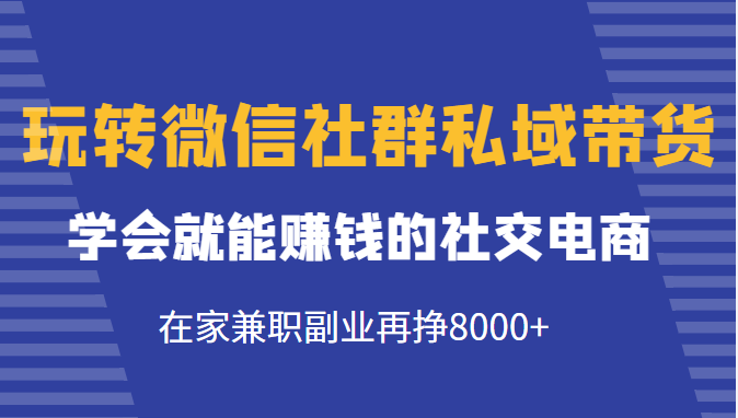 玩转微信社群私域带货，学会就能赚钱的社交电商，在家兼职副业再挣8000+-一起网赚吧