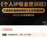个人IP吸金密训班，打造高价值高效率的个人IP内容体系（价值12800元）-一起网赚吧
