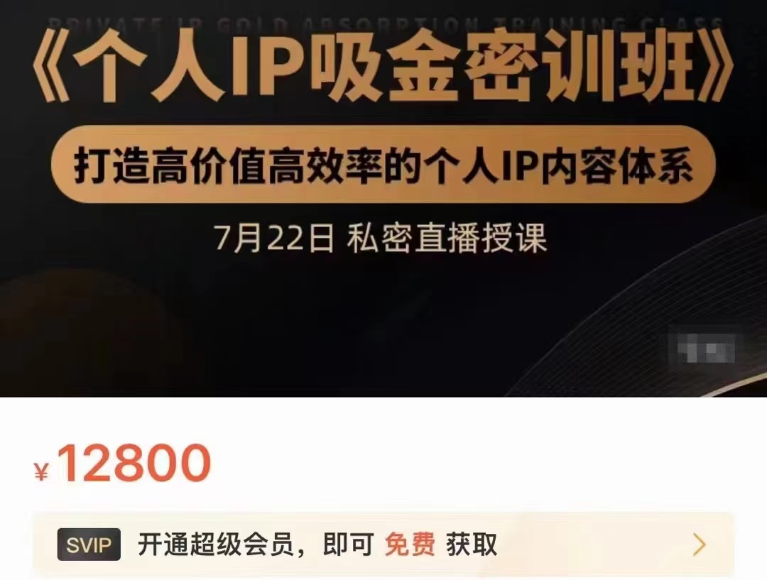 个人IP吸金密训班，打造高价值高效率的个人IP内容体系（价值12800元）-一起网赚吧