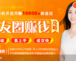 全网千万人气导师亲授:零基础/易上手的朋友圈赚钱攻略,让你轻松月入过万-一起网赚吧