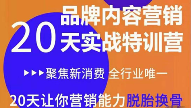 《内容营销实操特训营》20天让你营销能力脱胎换骨（价值3999）-一起网赚吧