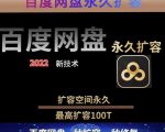 百度网盘无限扩容技术，外面卖399的，无论自己用还是用做引流都可以-一起网赚吧
