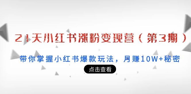 21天小红书涨粉变现营（第3期）：带你掌握小红书爆款玩法，月赚10W+秘密-一起网赚吧