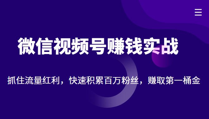 微信视频号赚钱实战：抓住流量红利，快速积累百万粉丝，赚取你的第一桶金-一起网赚吧