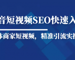 抖音短视频Seo搜索排名优化新手快速入门教程,实体商家短视频,精准引流实操课-一起网赚吧