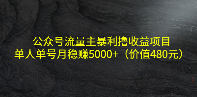 公众号流量主暴利撸收益项目，单人单号月稳赚5000+（价值480元）-一起网赚吧