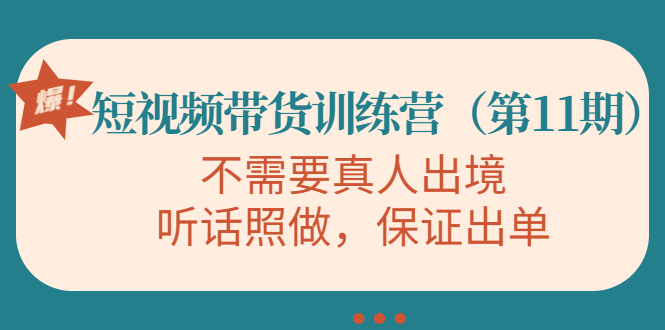 视频带货训练营，不需要真人出境，听话照做，保证出单（第11期）-一起网赚吧