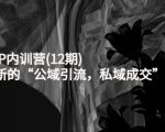 新媒体IP内训营(12期),一套全新的“公域引流,私域成交”IP打法,直接带走-一起网赚吧