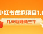 《小红书虚拟项目1.0》账号注册+养号+视频制作+引流+变现，几天就赚两三千-一起网赚吧