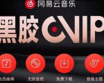 网易云音乐撸黑胶年卡及变现方法，收益可无限放大-一起网赚吧