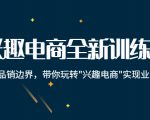 兴趣电商全新训练营：打破品销边界，带你玩转“兴趣电商“实现业务增长-一起网赚吧