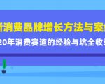 新消费品牌增长方法与案例精华课：20年消费赛道的经验与坑全收录-一起网赚吧