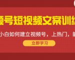 视频号短视频文案训练营：0基础小白如何建立视频号，上热门，能卖货！-一起网赚吧
