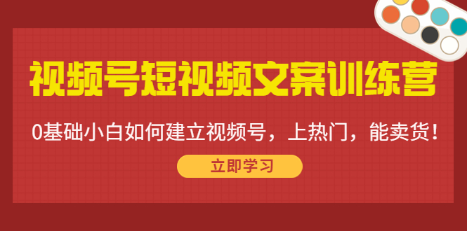 视频号短视频文案训练营：0基础小白如何建立视频号，上热门，能卖货！-一起网赚吧