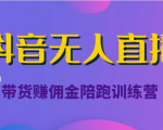 抖音无人直播带货赚佣金陪跑训练营（价值6980元）-一起网赚吧