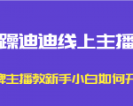 暴躁迪迪线上主播课，金牌主播教新手小白如何开播-一起网赚吧