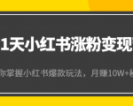 21天小红书涨粉变现营（第4期）：带你掌握小红书爆款玩法，月赚10W+秘密-一起网赚吧