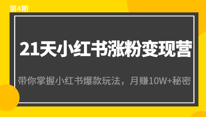 21天小红书涨粉变现营（第4期）：带你掌握小红书爆款玩法，月赚10W+秘密-一起网赚吧