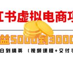 小红书虚拟电商项目：从小白到精英 月收益5000到30000 (视频课程+交付手册)-一起网赚吧