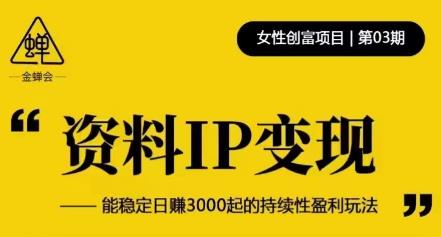 资料IP变现，能稳定日赚3000起的持续性盈利玩法-一起网赚吧
