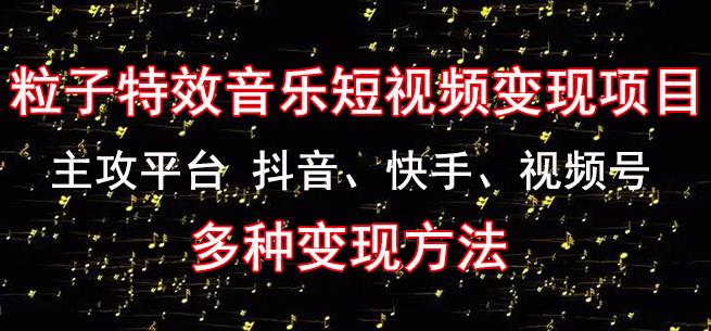 黄岛主《粒子特效音乐短视频变现项目》主攻平台抖音、快手、视频号多种变现方法-一起网赚吧