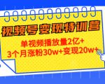 21天视频号变现特训营:单视频播放量2亿+3个月涨粉30w+变现20w+(第14期)-一起网赚吧