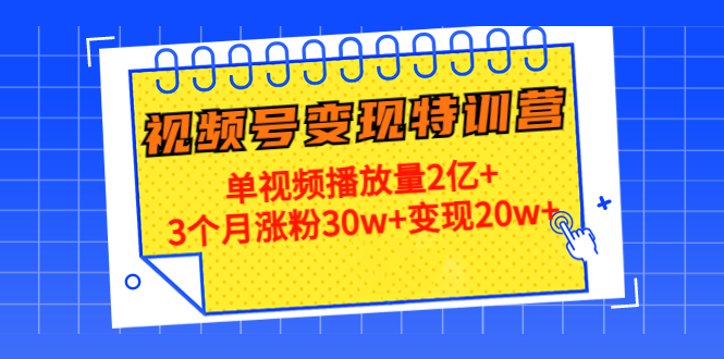 21天视频号变现特训营：单视频播放量2亿+3个月涨粉30w+变现20w+（第14期）-一起网赚吧