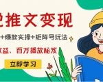 小说推文训练营：引流技巧+爆款实操+矩阵号玩法，百倍效益、百万播放秘笈-一起网赚吧