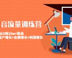 美业抖音流量训练营：从0到10w+粉丝 让你的门店用户增长+业绩增长+利润增长-一起网赚吧