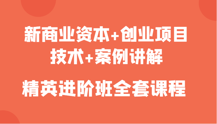 新商业资本+创业项目，技术+案例讲解，精英进阶班全套课程-一起网赚吧
