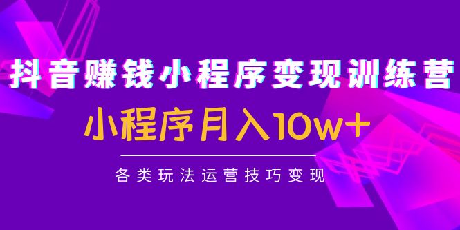 抖音赚钱小程序变现训练营：小程序月入10w+各类玩法运营技巧变现-一起网赚吧