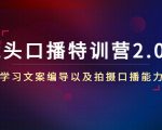 镜头口播特训营2.0版，学习文案编导以及拍摄口播能力（50节课时）-一起网赚吧