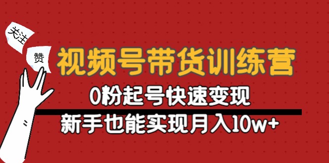 视频号带货训练营：0粉起号快速变现，新手也能实现月入10w+-一起网赚吧