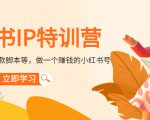 小红书IP特训营:从搭建-制作-爆款脚本等等,做一个赚钱的小红书号-一起网赚吧