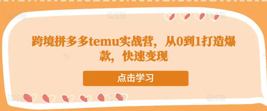 跨境拼多多temu实战营，从0到1打造爆款，快速变现-一起网赚吧