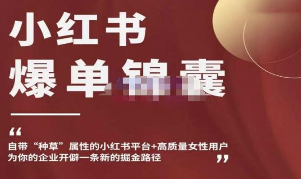 小红书爆单锦囊，自带种草属性+高质量女性用户，为你的企业开辟一条新的掘金路径-一起网赚吧