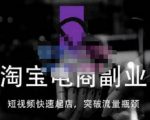 蓝Sir派·淘宝短视频快速起店，替代传统搜索方式，学会做一个不一样的淘宝店-一起网赚吧