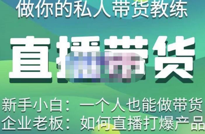 硬核传媒·直播带货（私人教练），实操实战教学，通俗易懂，学完后新手小白一个人也能做带货-一起网赚吧