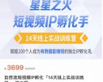 瑶瑶·自然流短视频IP孵化第二期,14天线上实战训练营,赋能100个人成为有数据能赚钱的独立IP孵化手-一起网赚吧